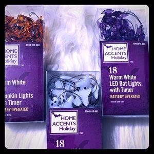 Halloween  LED lights with Timer (set of 3)